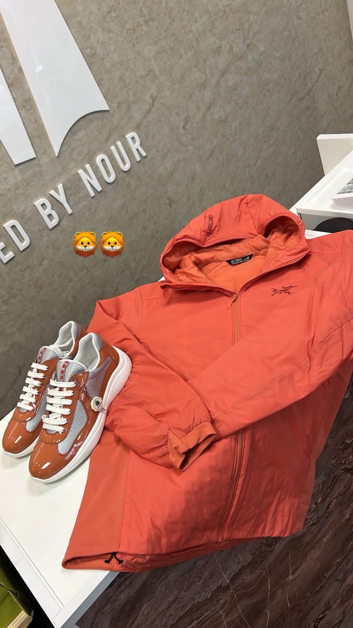 Prada X Arc’teryx (ON REQUEST)